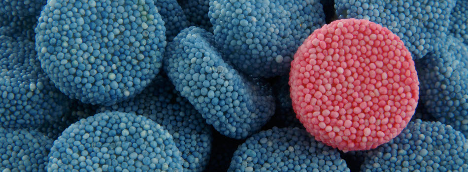 QGS Scheme Image banner.jpg