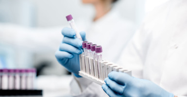 Lab image.jpg