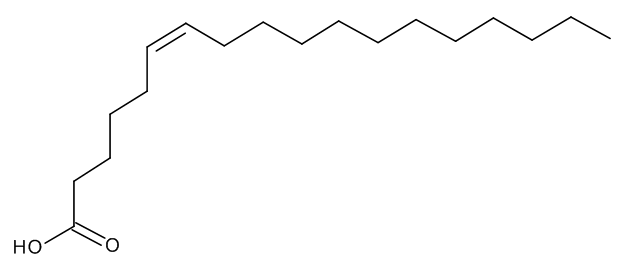 Petroselinic Acid(RG) - CAS No. 593-39-5 Petroselinic Acid(RG)
