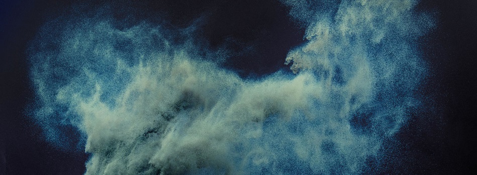 LoGiCal Banner 3 - NPS (Desktop).jpg