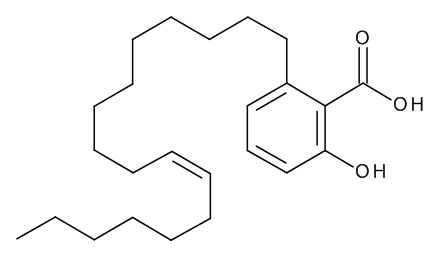 Ginkgolic Acid II(P) - CAS No. 111047-30-4 Ginkgolic Acid II(P)