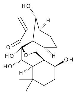 Rubescensin A (RG) - CAS No. 28957-04-2 Rubescensin A (RG)